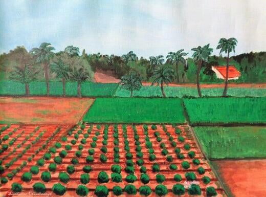 Green fields