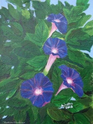 Morning glory (purple)